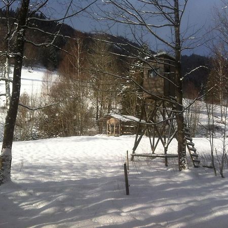 Haus Edeltraud: Tranquil Black Forest Retreat with Cycling Rheinfelden  Exterior photo